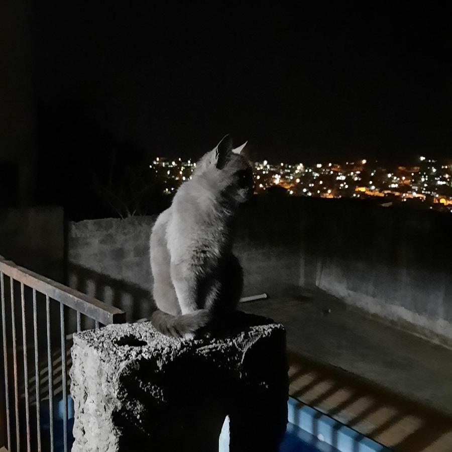 Casa De Temporada Villa Sao Lourenco  Dış mekan fotoğraf