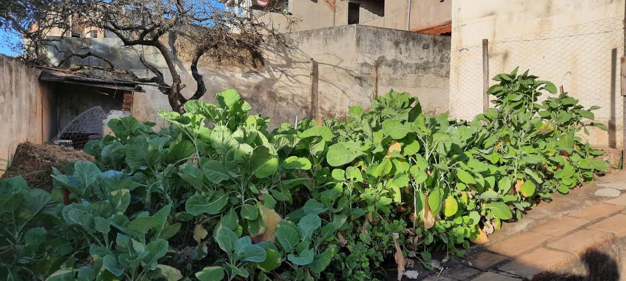 Casa De Temporada Villa Sao Lourenco  Dış mekan fotoğraf